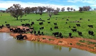 Movement at the station: Recent listings in NSW