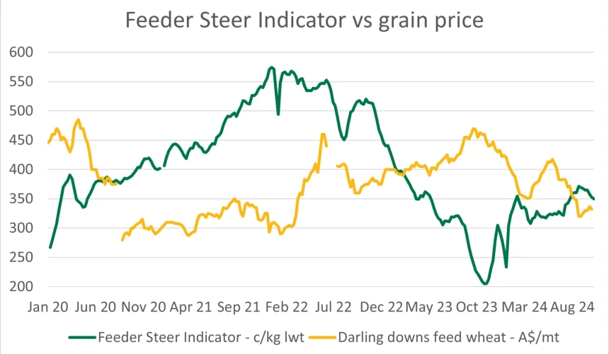 Are feedlots facing a profit squeeze?