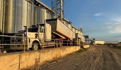 Feedgrain Focus: Rain slows northern harvest