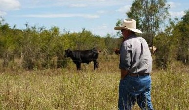 How Moora Plains has created a secure future with soil carbon farming