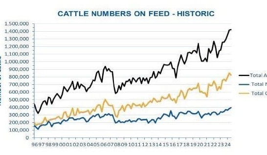 September quarter cattle numbers on feed surge to another record high, at 1.424m