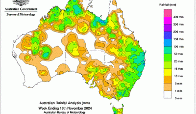 Weekly rainfall update + rainfall outlook 19 November 2024