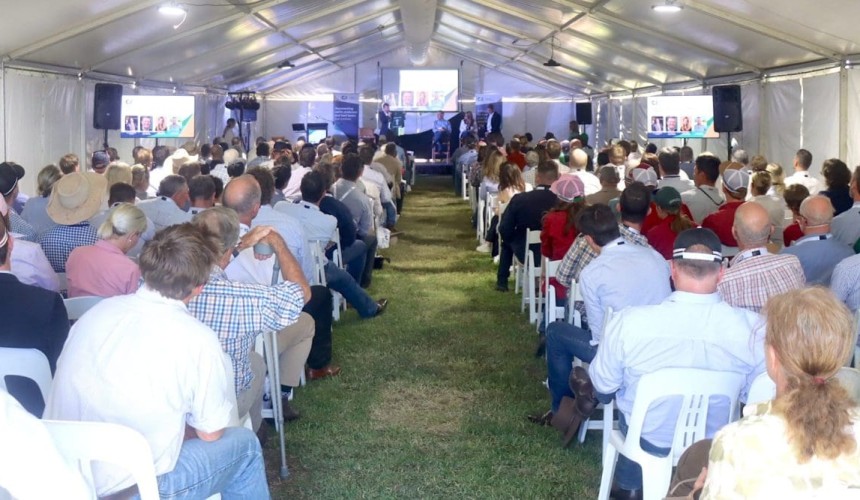 Cattle industry leaders keen to take the fight to environmental groups