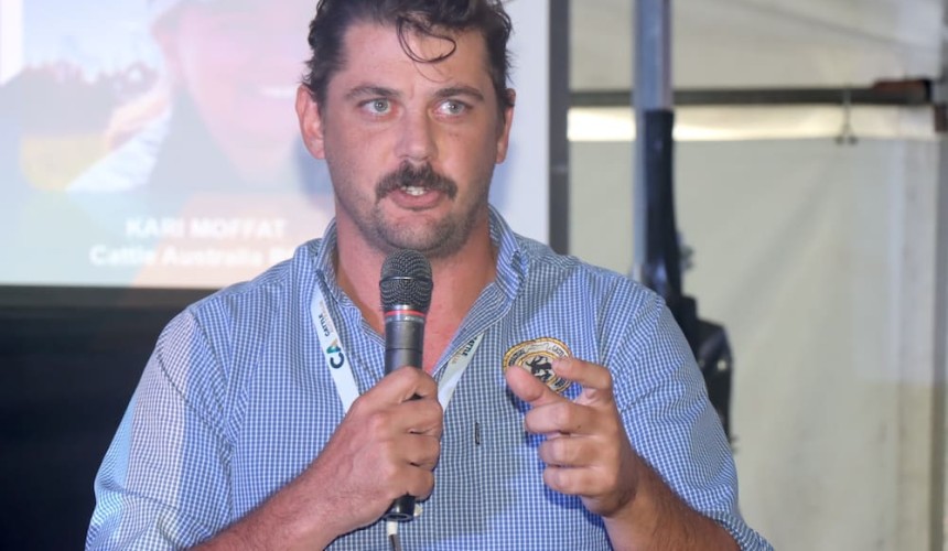 Nominations now open for Cattle Australia Board and RCC elections