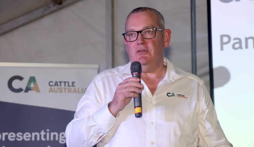 Independent inquiry must examine five key concerns with US beef import rules