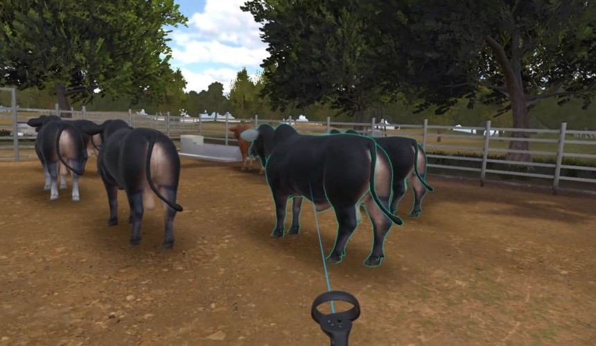 Adelaide-made cattle-handling VR teaching tool goes global