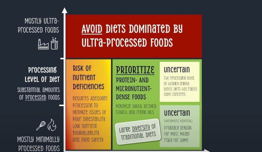“Nourishment table” a new approach to dietary guidelines that prioritises protein