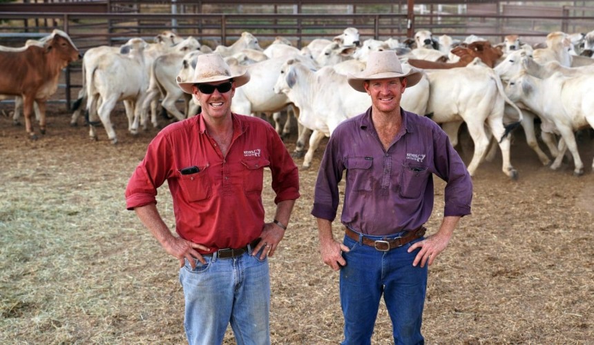 Transit yards see surge in private cattle movements and export orders