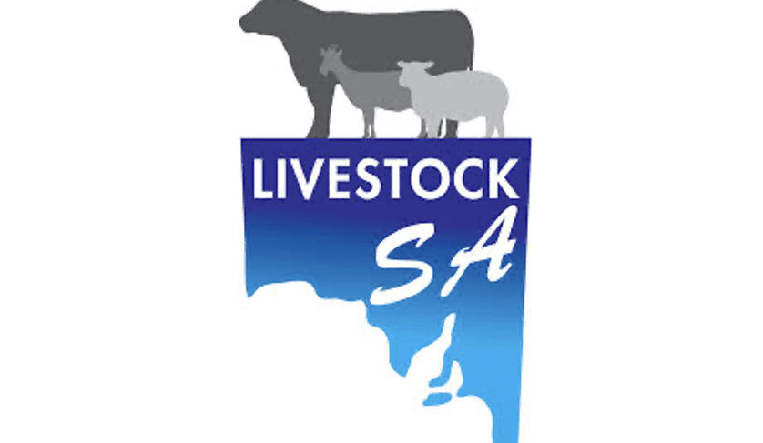 Livestock SA Board Nominations Now Open
