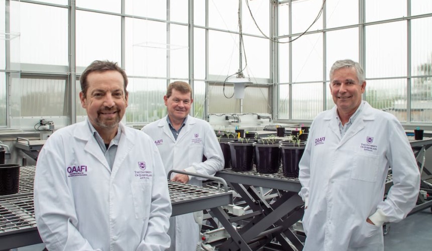 Opinion: Collaboration key to ultimate genotypes in plants and livestock