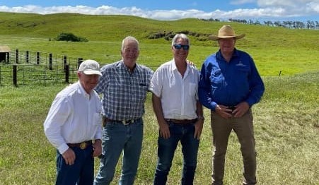 Hawaii’s unique cattle ranching Industry