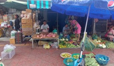SE Asia Report: Indonesia carrying Australian cattle exports despite significant local beef market changes