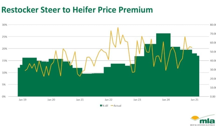 Restocker heifers still well out of kilter with steer prices   