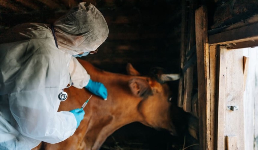 Opinion: Agriculture does not win with scrapping of biosecurity levy