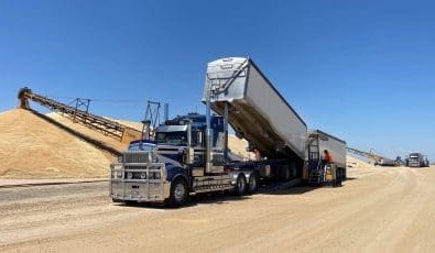 Feedgrain Focus: Northern trucks, trade busy with pulses