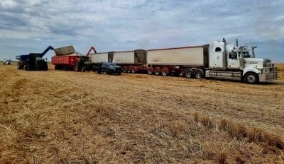 Feedgrain Focus: Prices go north on limited grower selling