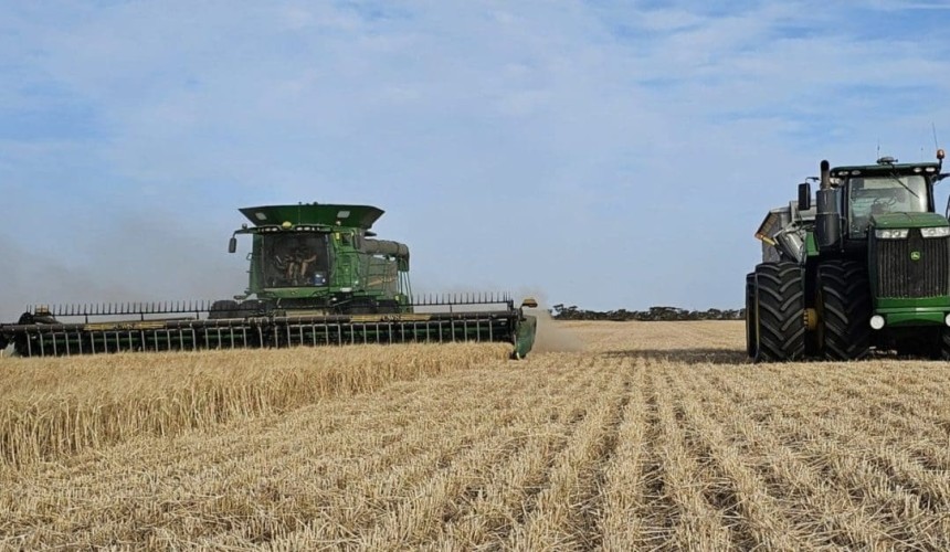 SA consumers look east for supplementary feedgrain
