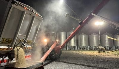 Feedgrain Focus: Prices ease despite patchy rain