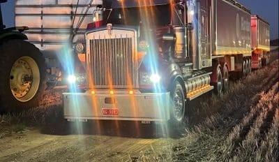 Feedgrain Focus: North firms despite harvest volume
