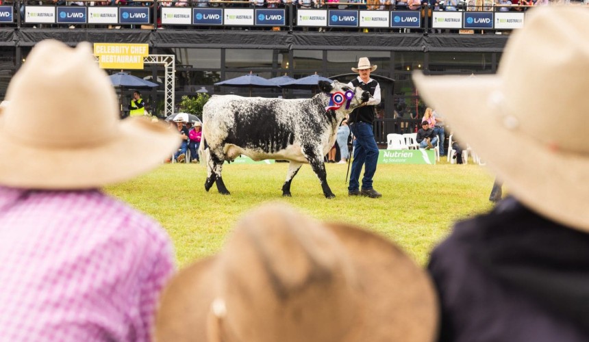 $1.55m net ‘profit’ for Beef 2024 event