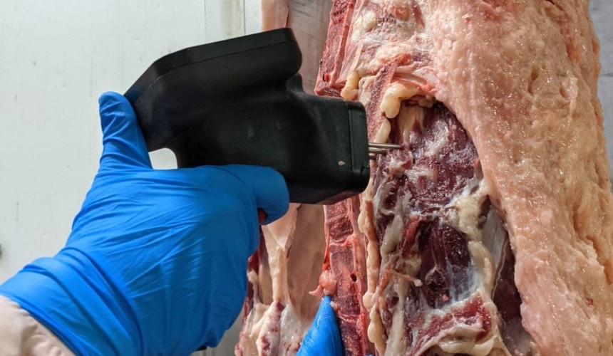 NZ beef and lamb processor Alliance adopts objective eating quality measurement tech