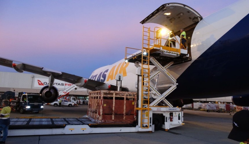 First dairy heifers take flight to fight malnutrition in Indonesia