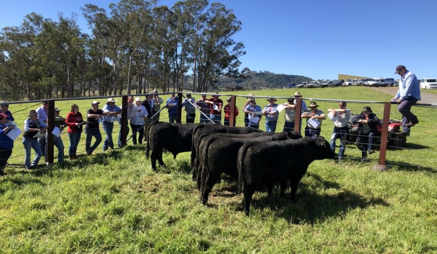 Feeder steer school to provide vital face-to-face learning