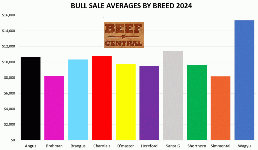 2024 bull sales: Your complete guide to major beef breeds’ results and trends