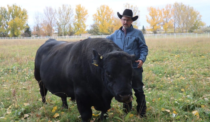 Leachman Cattle shows sheer scale of the US “beef-on-dairy” industry