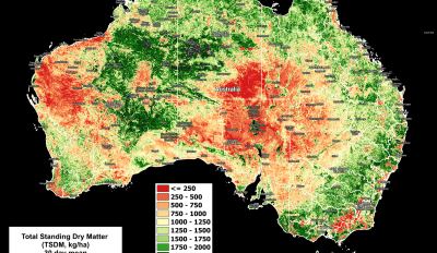 National Feedbase Summary 4 December 2024