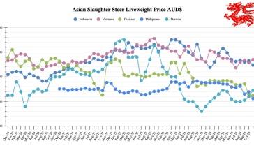 SE Asia Report: Indonesian live cattle and IBM import permits front of mind for industry