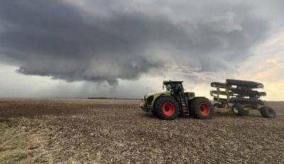 Feedgrain Focus: Rain-related downgrading sinks values