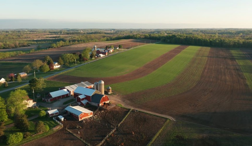 US and Aus cattle groups at odds over market access