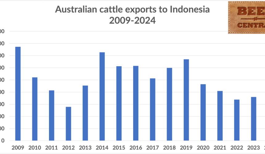December surge lifts 2024 cattle exports to multi-year high