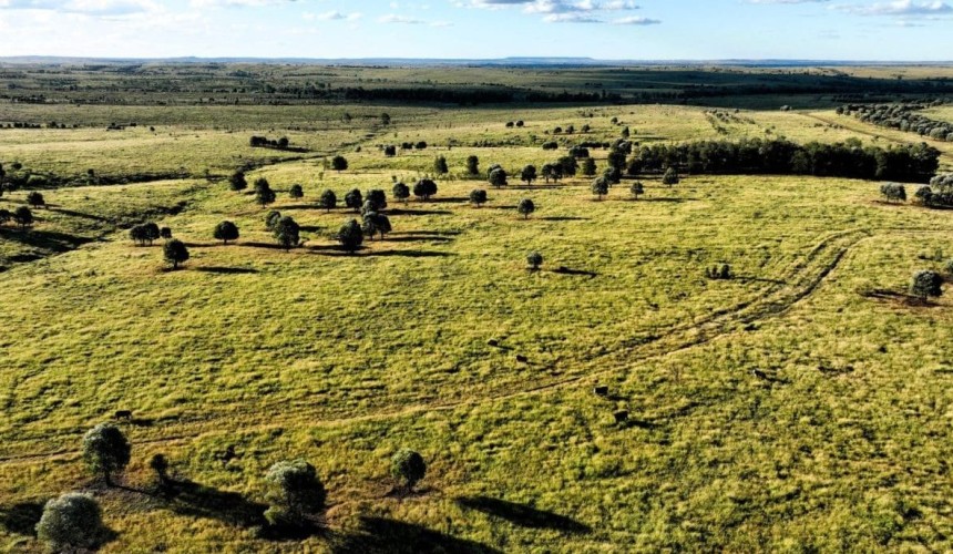Local grazing family secures substantial portion of Taroom’s Moorabinda