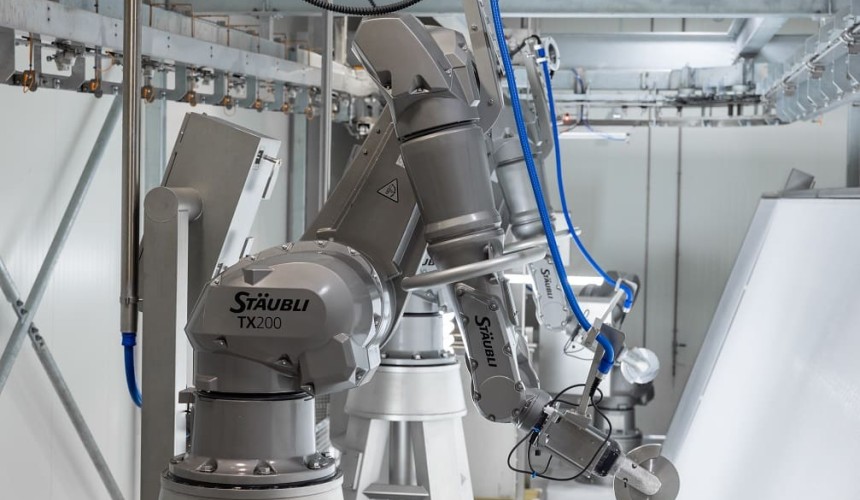 AI-driven beef scriber can reduce costs and increase yeild, report