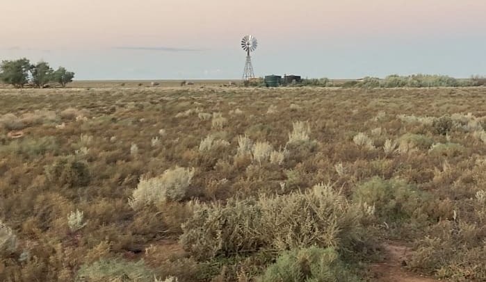 Western Riverina farmers use satellite tech to gauge groundcover