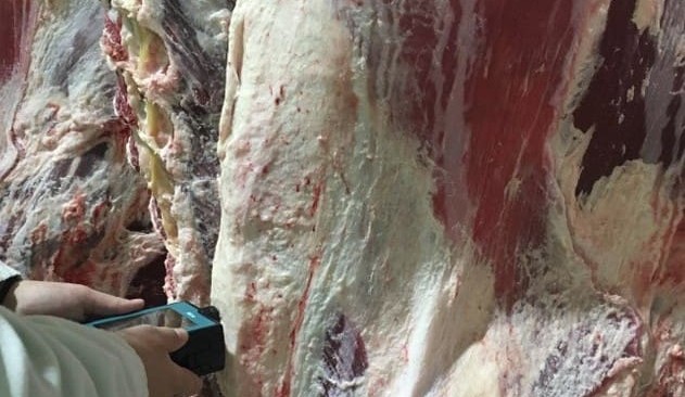 Scan technology shows promise in verifying grassfed or grainfed claims