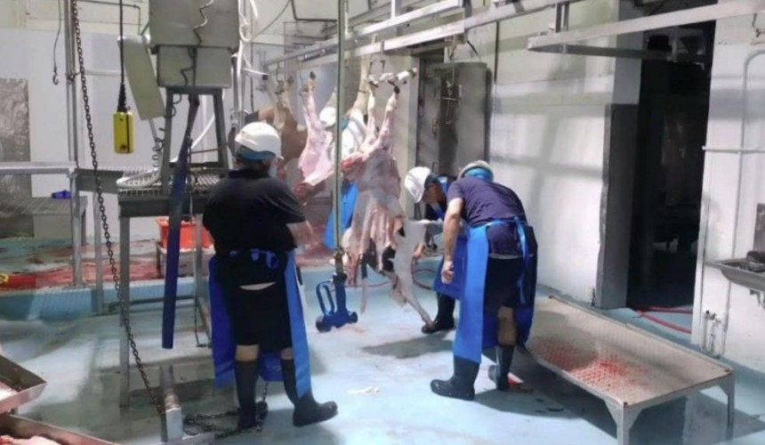 Rare processing plant investment opportunity comes with Stanthorpe facility 