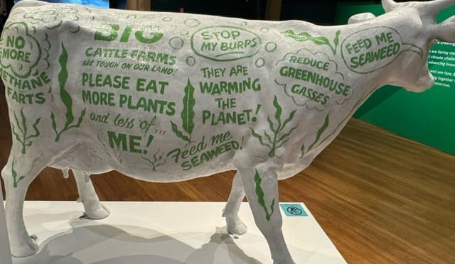 Australian Museum raises eyebrows with display urging people to eat less beef