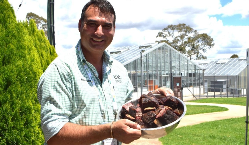 Feeder Steer School 2.0 kicks off in Armidale after 13-year hiatus + PHOTOS