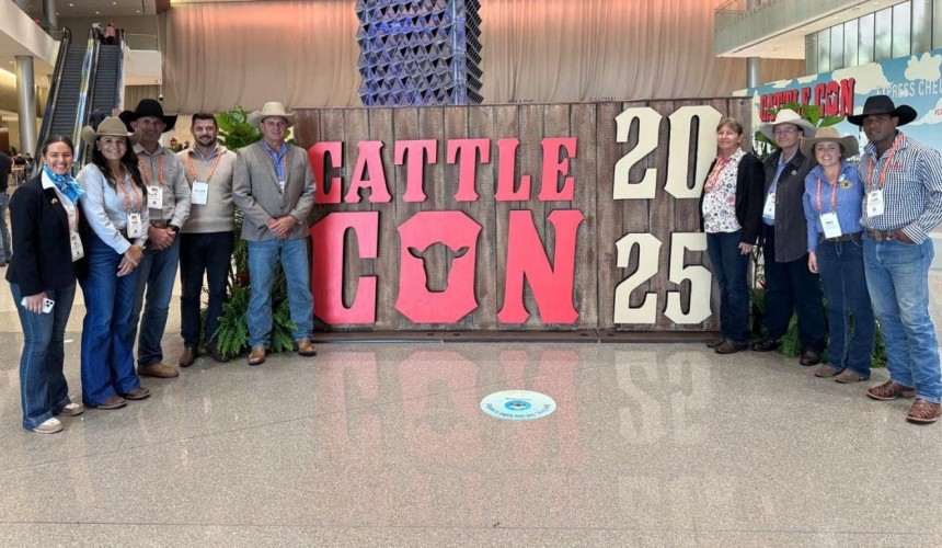 CattleCon 2025: NT, US producers tighten ties in Texas + PICS