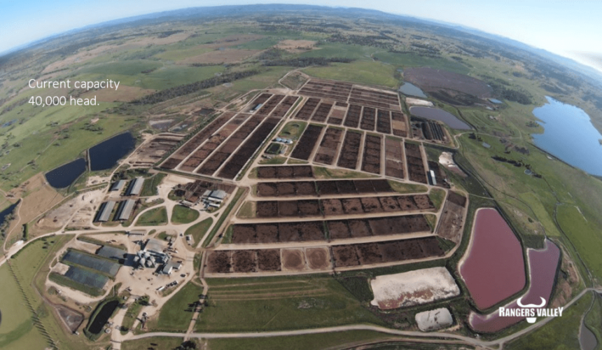 Stanbroke secures Rangers Valley feedlot and grainfed business in deal worth close to $400m