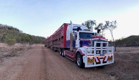 No 14: Stockyard Transport