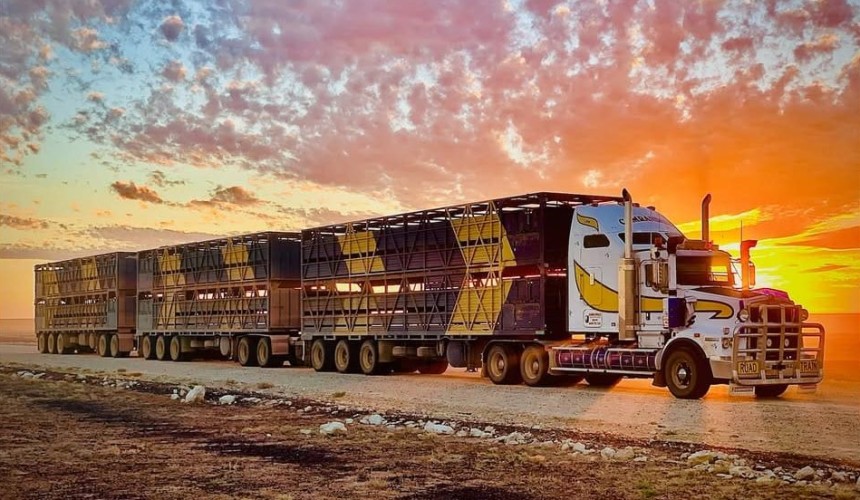 Not quite, but close: 20 operators that just missed out on our Top 25 stock transporters list
