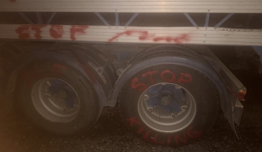 Livestock transporters warned to stay vigilant after activists allegedly vandalise truck