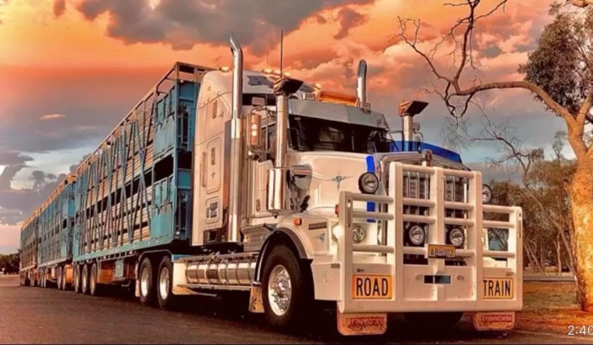 No 21: ABH Livestock Transport