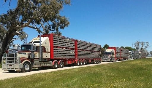 No. 22: Boyle’s Livestock Transport