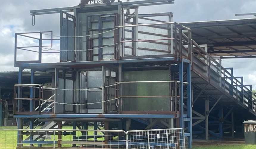 NQ field day to shift paradigms on cattle loading