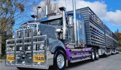 No. 19: Morris Livestock Transport
